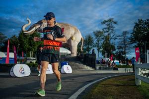 BIB: 
                            <button type="button" onclick="openModal(26541536)" class="btn btn-primary btn-sm float-right btn-popup" data-toggle="modal" data-target=".modal-high-quality">
                        <i class="fas fa-shopping-cart"></i> Add to Cart
                    </button>
                                            <button type="button" onclick="isThisMe(26541536, true)" class="btn btn-success btn-sm float-right btn-popup btn-isme hidden" data-toggle="tooltip" data-placement="bottom" title="นี่คือรูปของคุณใช่ไหม คลิกที่นี่เพื่อเอาเข้าอัลบั้ม">
                        <i class="fas fa-plus"></i> Add to album
                    </button>
                    <button type="button" onclick="isThisMe(26541536, false)" class="btn btn-warning btn-sm float-right btn-popup btn-isnotme hidden">
                        <i class="fas fa-ban"></i> Remove from album
                    </button>